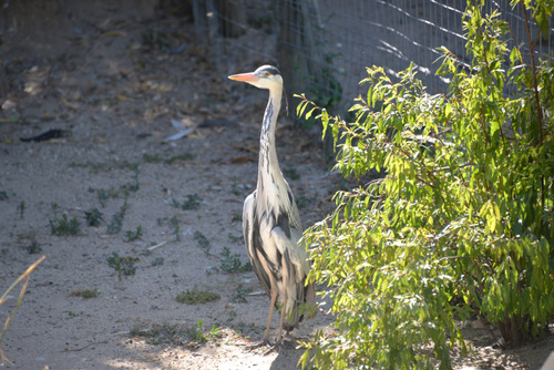 World of Birds Wildlife Sanctuary.